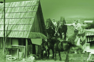 Sokoliki. Ludzie bieszczadzkiego lasu II - Bieszczady