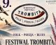 9. Festiwal Trombita - Wetlina