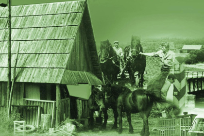 Sokoliki. Ludzie bieszczadzkiego lasu II - Bieszczady