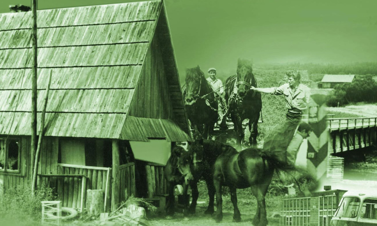 Sokoliki. Ludzie bieszczadzkiego lasu II - Bieszczady